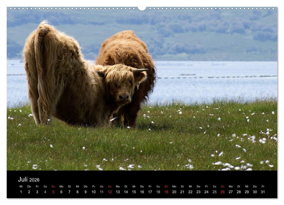 Schottland 2026 (CALVENDO Premium Wandkalender 2026)