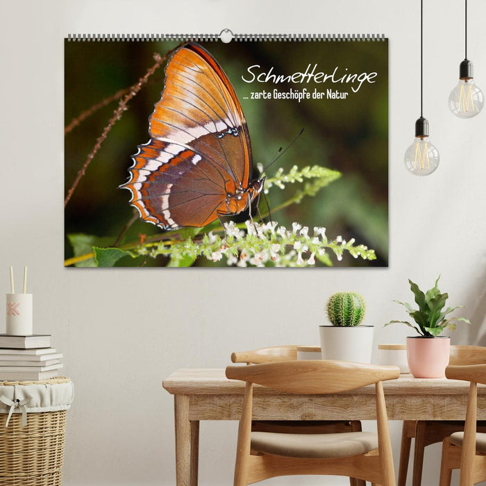 Schmetterlinge - zarte Geschöpfe der Natur (CALVENDO Wandkalender 2026)