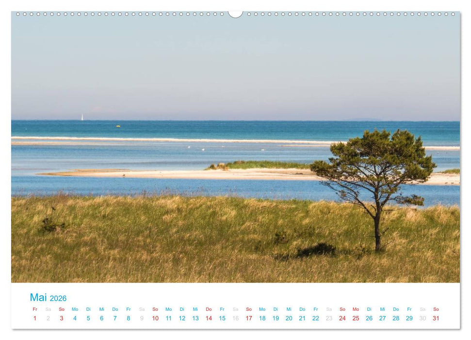 Der Darß Kalender (CALVENDO Premium Wandkalender 2026)