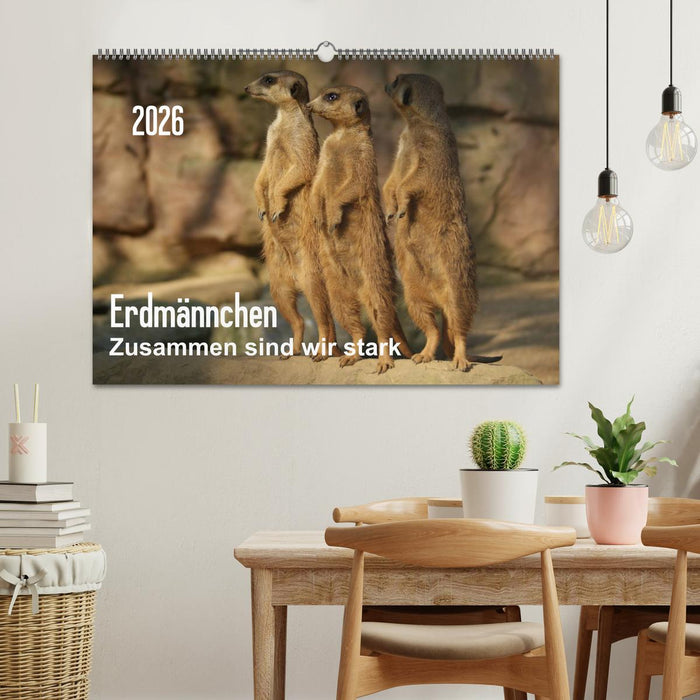 Erdmännchen – Zusammen sind wir stark / CH-Version (CALVENDO Wandkalender 2026)