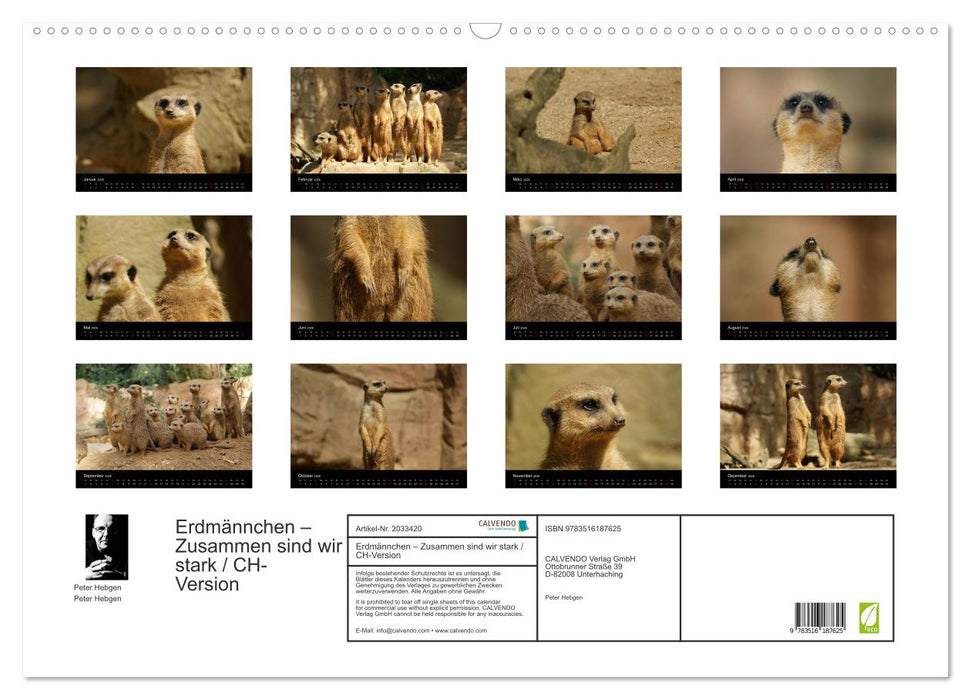 Erdmännchen – Zusammen sind wir stark / CH-Version (CALVENDO Wandkalender 2026)