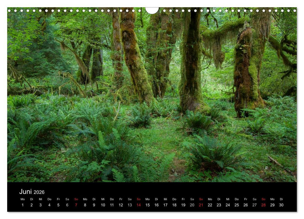 Das "grüne" Nordamerika - Kanada und USA (CALVENDO Wandkalender 2026)