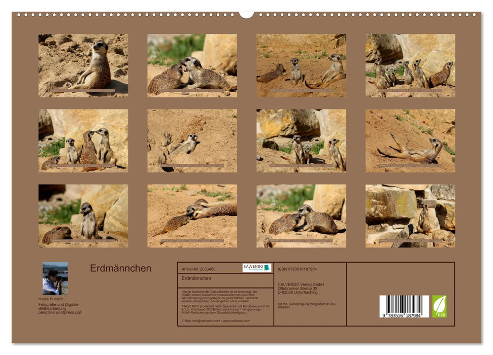 Erdmännchen (CALVENDO Premium Wandkalender 2026)