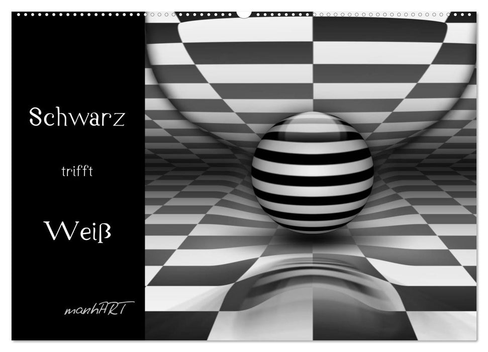 Schwarz trifft Weiß (CALVENDO Wandkalender 2026)