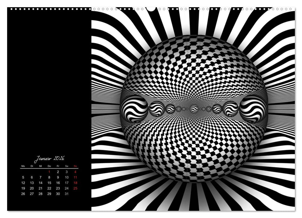 Schwarz trifft Weiß (CALVENDO Wandkalender 2026)