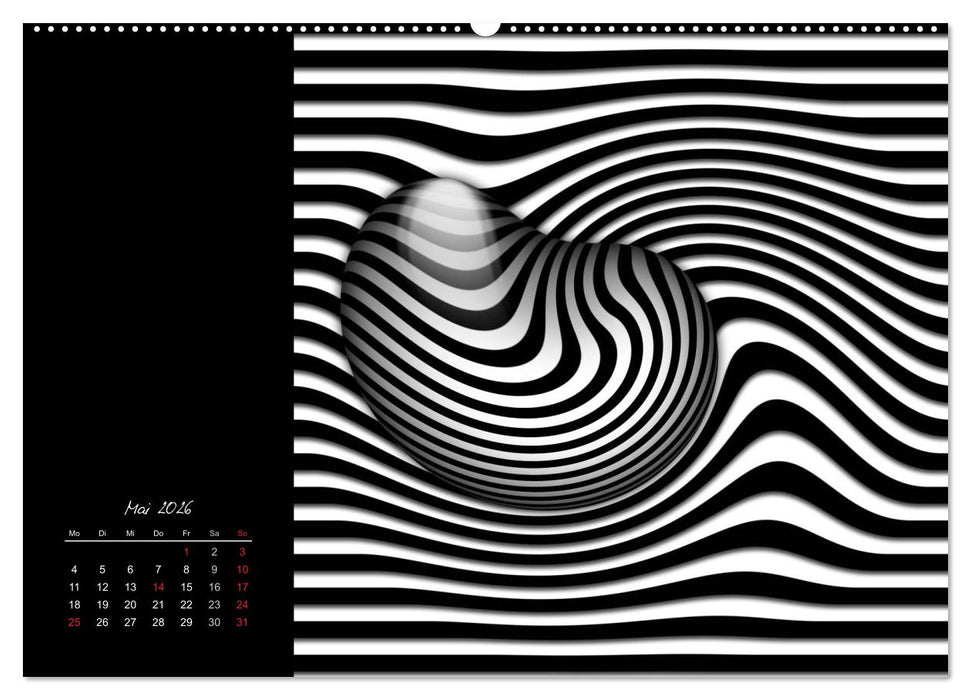 Schwarz trifft Weiß (CALVENDO Wandkalender 2026)