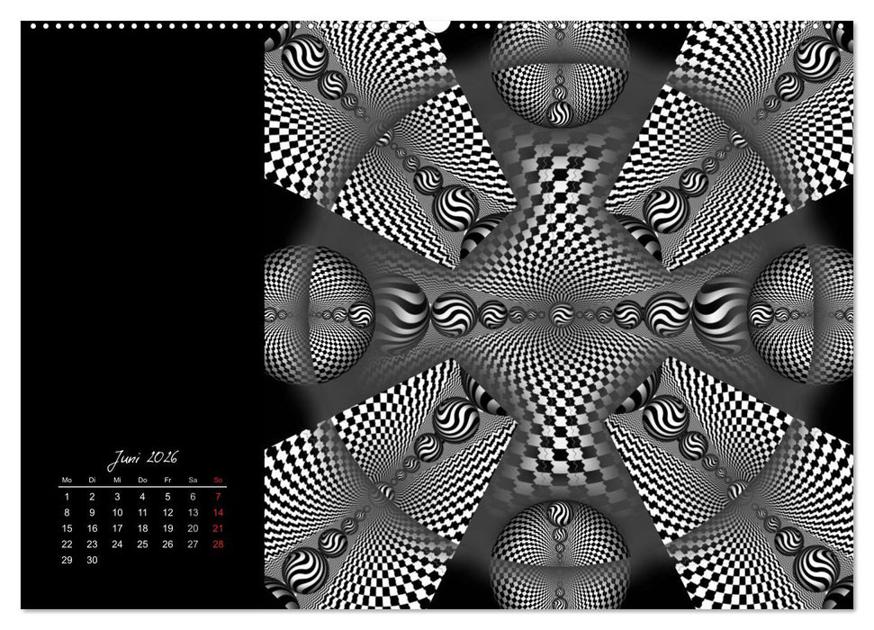 Schwarz trifft Weiß (CALVENDO Wandkalender 2026)
