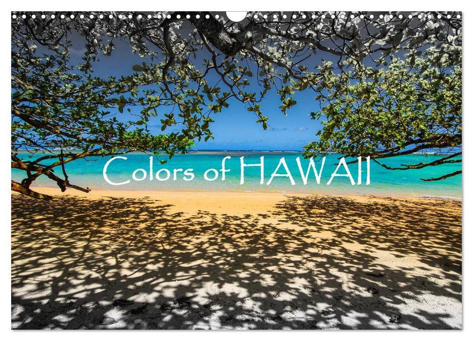 Colors of HAWAII (CALVENDO Wandkalender 2026)