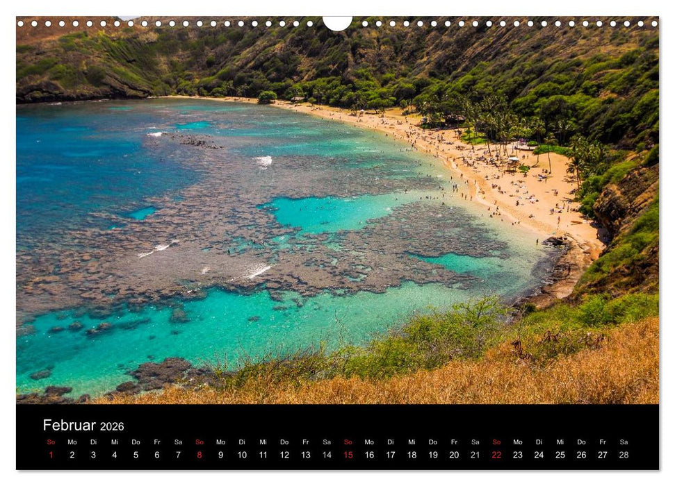 Colors of HAWAII (CALVENDO Wandkalender 2026)