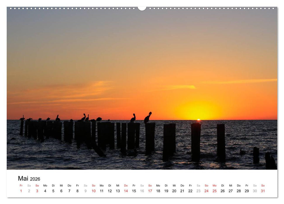 Unter der Sonne Floridas (CALVENDO Premium Wandkalender 2026)