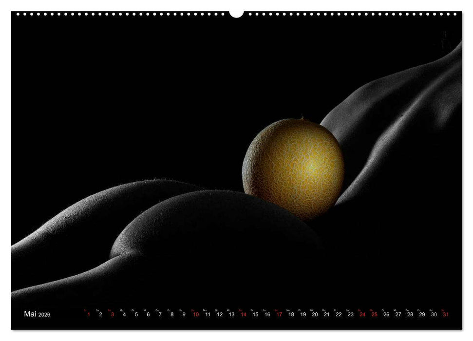 Fruit Nudes 2026 (CALVENDO Premium Wandkalender 2026)