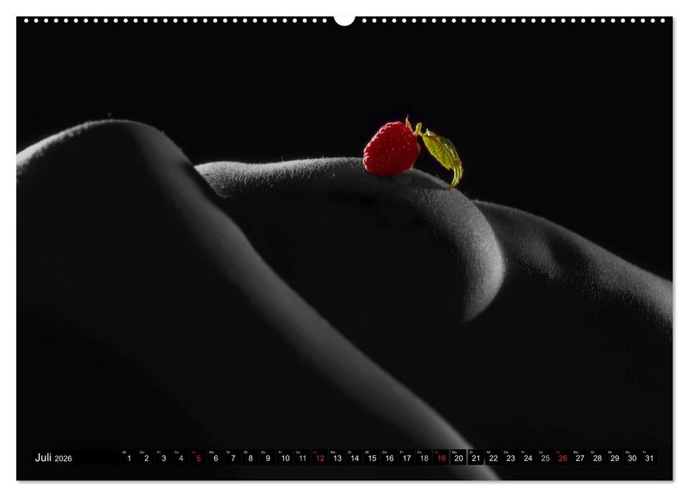 Fruit Nudes 2026 (CALVENDO Premium Wandkalender 2026)