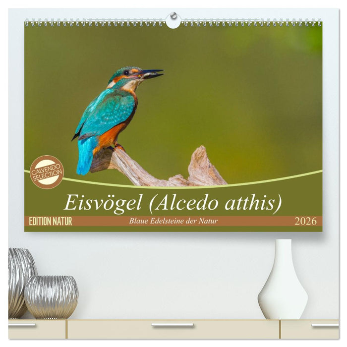 Eisvögel (Alcedo atthis) - Edelsteine der Natur (CALVENDO Premium Wandkalender 2026)