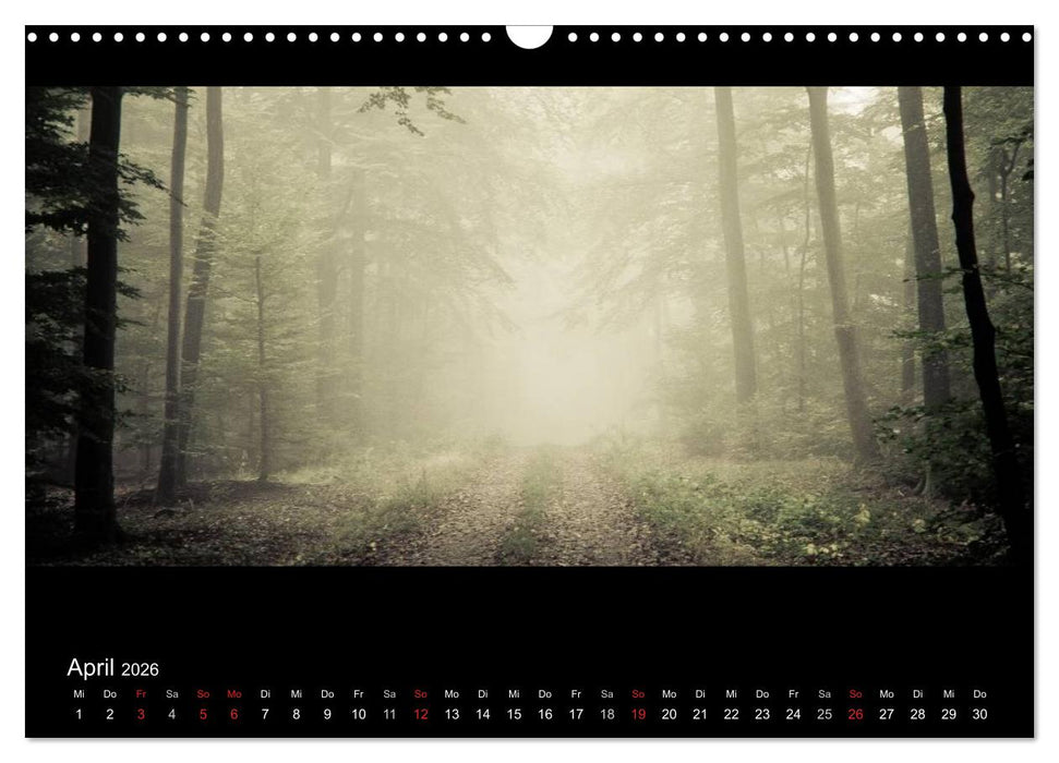 NEBEL (CALVENDO Wandkalender 2026)