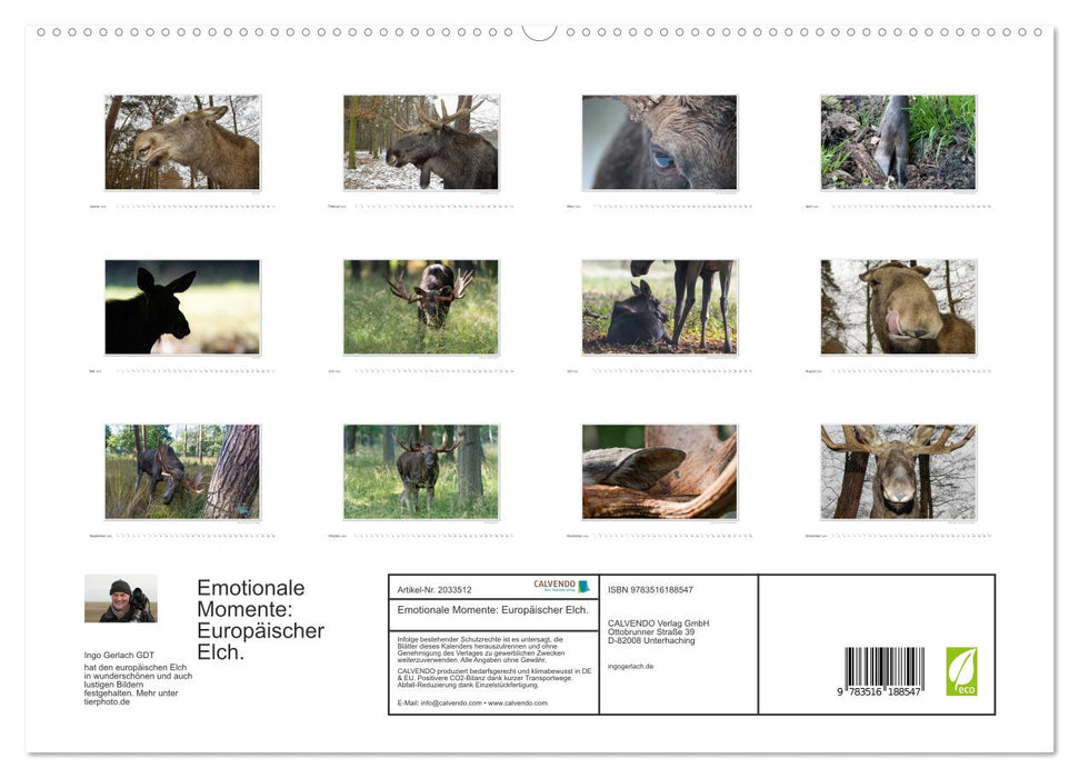 Emotionale Momente: Europäischer Elch. (CALVENDO Premium Wandkalender 2026)
