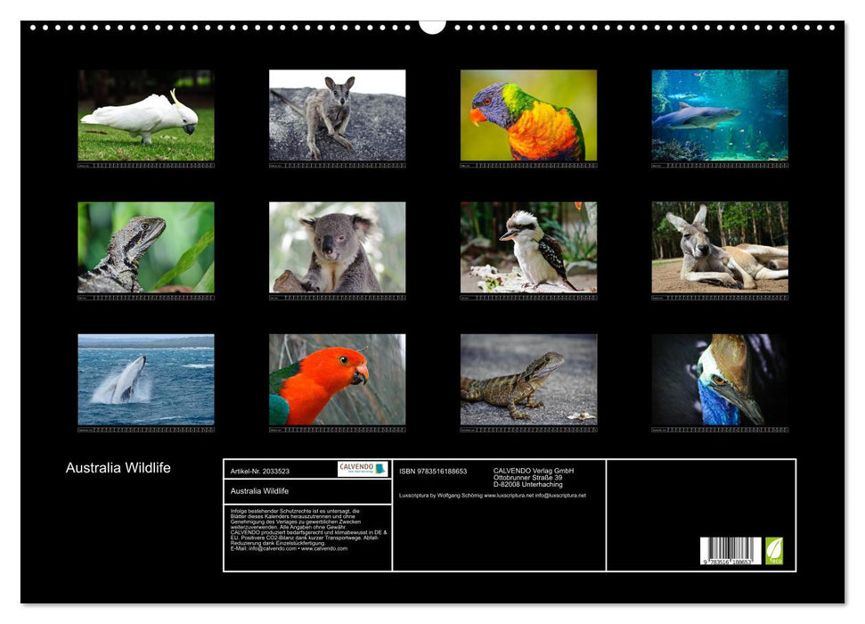 Australia Wildlife (CALVENDO Wandkalender 2026)