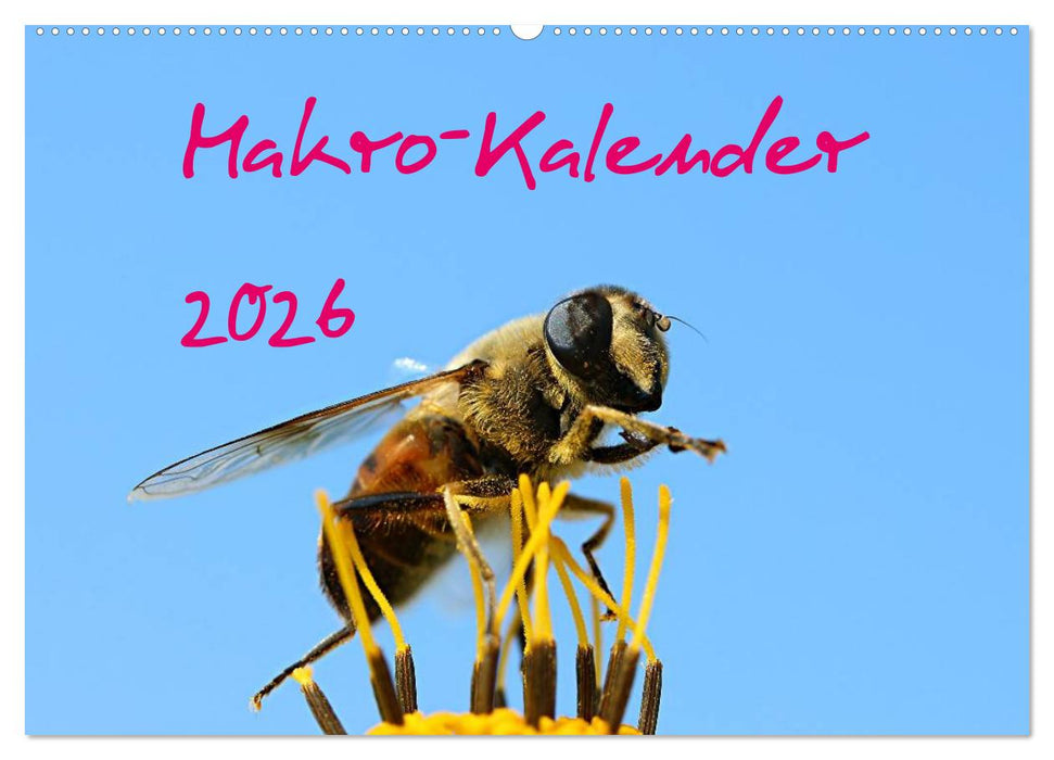 Makro-Kalender 2026 (CALVENDO Wandkalender 2026)