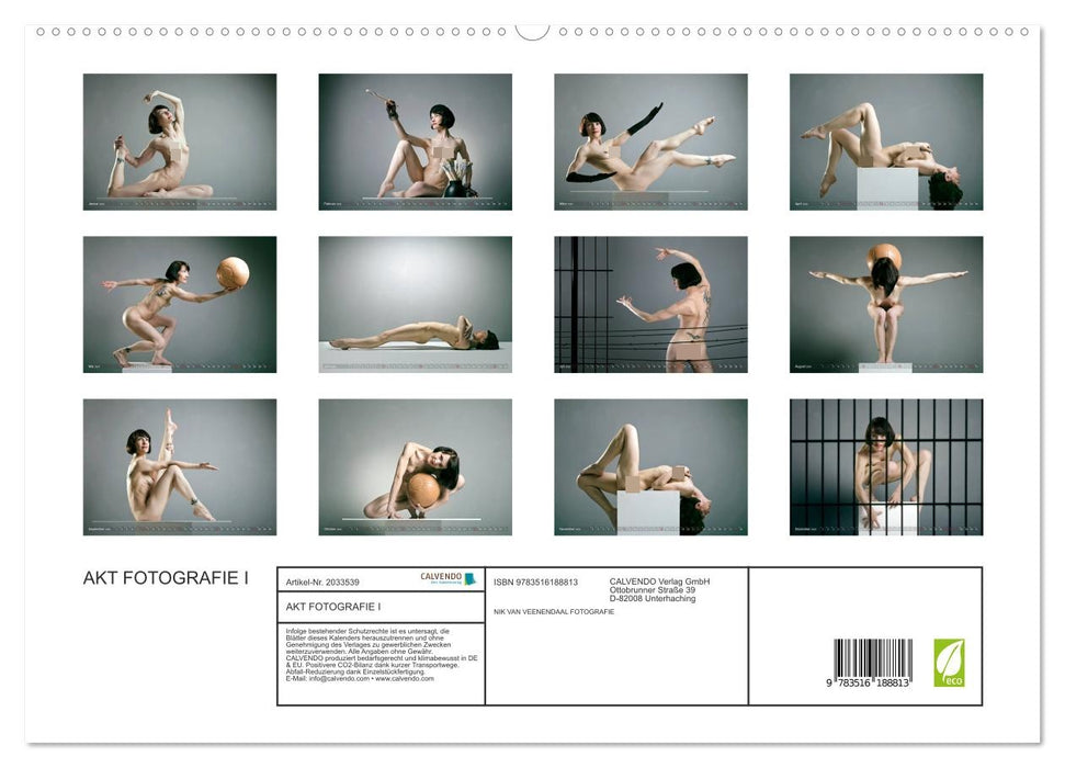 AKT FOTOGRAFIE I (CALVENDO Premium Wandkalender 2026)
