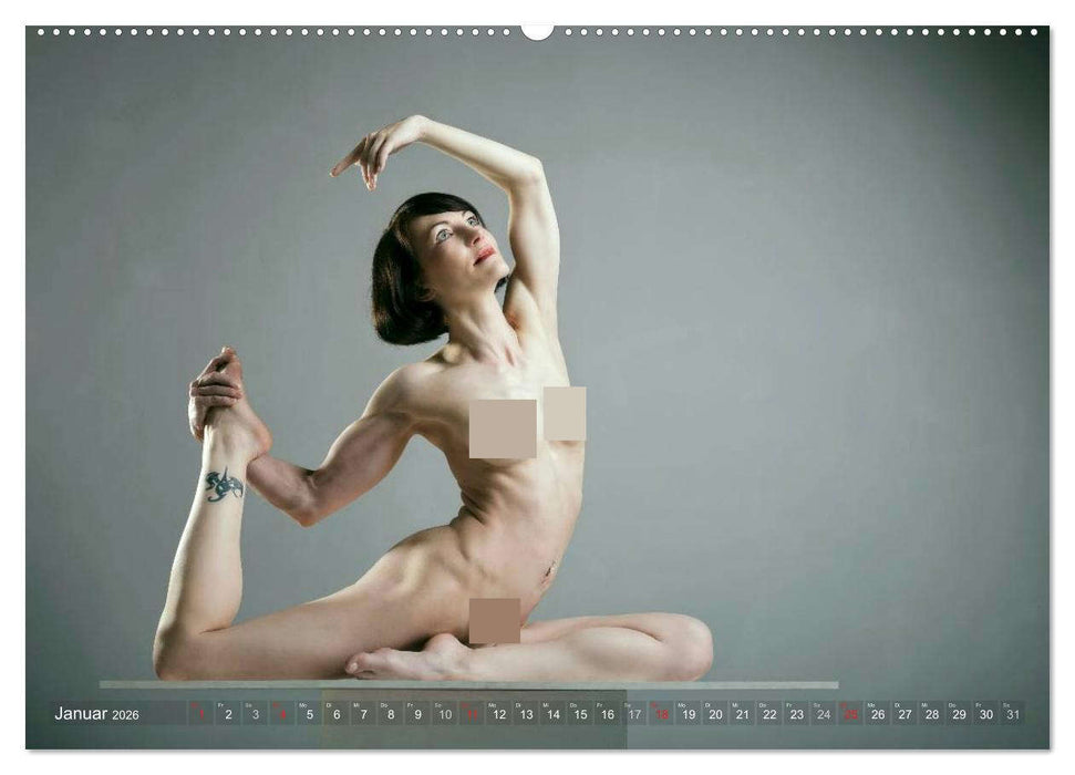 AKT FOTOGRAFIE I (CALVENDO Premium Wandkalender 2026)