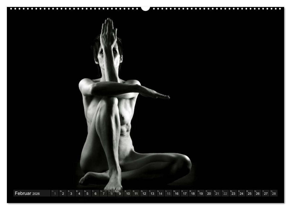AKT FOTOGRAFIE II (CALVENDO Premium Wandkalender 2026)