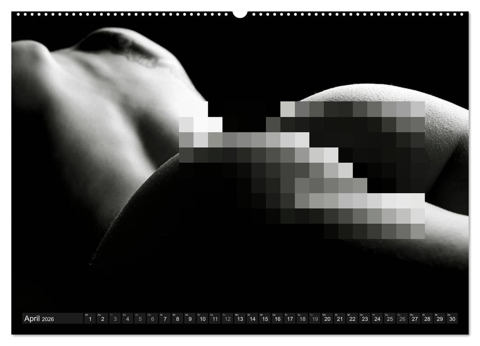 AKT FOTOGRAFIE II (CALVENDO Premium Wandkalender 2026)