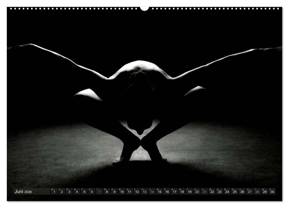 AKT FOTOGRAFIE II (CALVENDO Premium Wandkalender 2026)