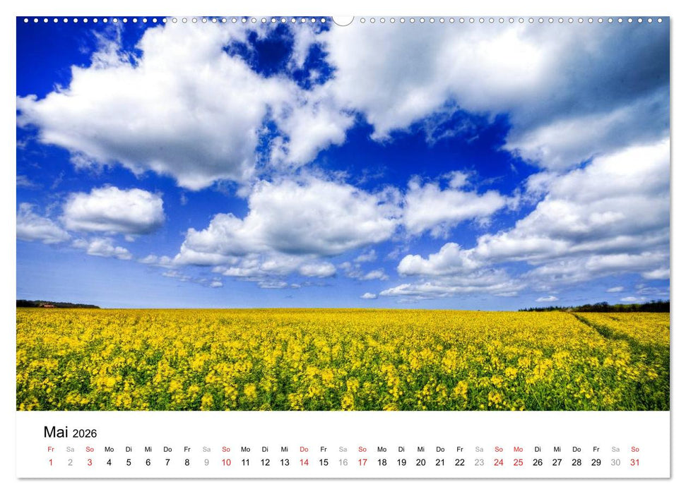 Rügen (CALVENDO Premium Wandkalender 2026)