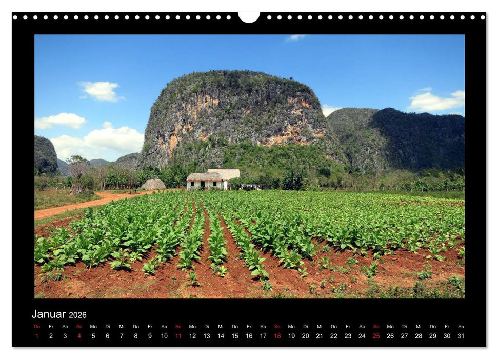 Viva Cuba! (CALVENDO Wandkalender 2026)