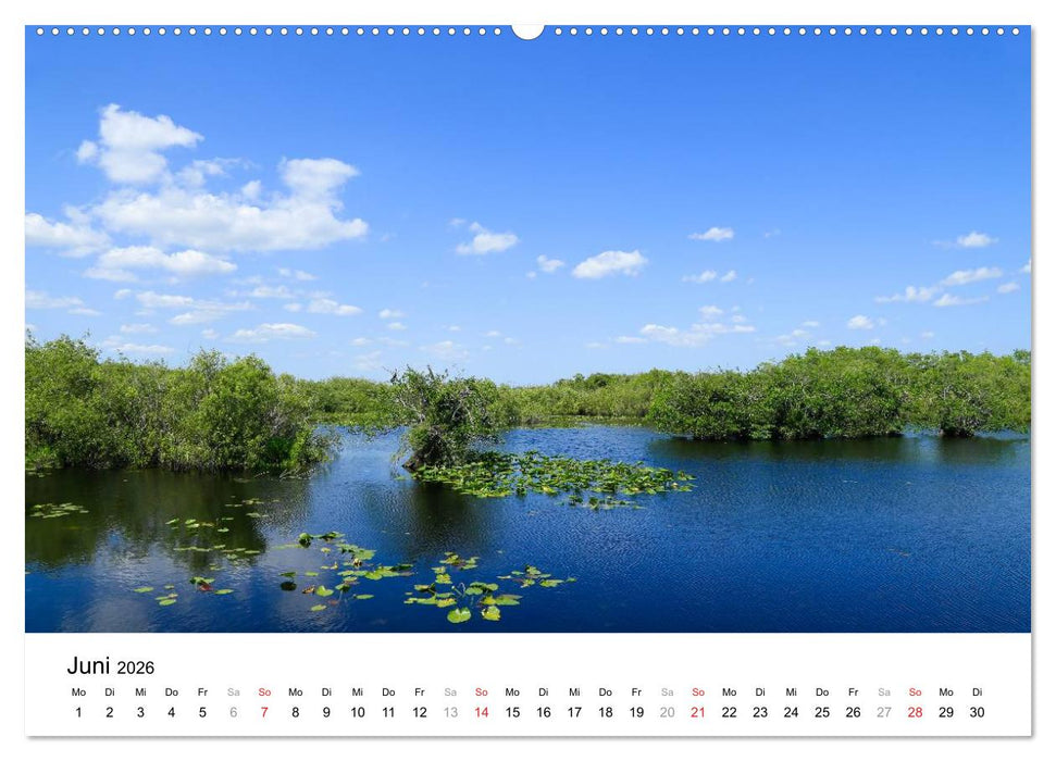 Unter der Sonne Floridas (CALVENDO Wandkalender 2026)