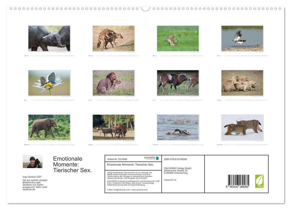 Emotionale Momente: Tierischer Sex. (CALVENDO Premium Wandkalender 2026)