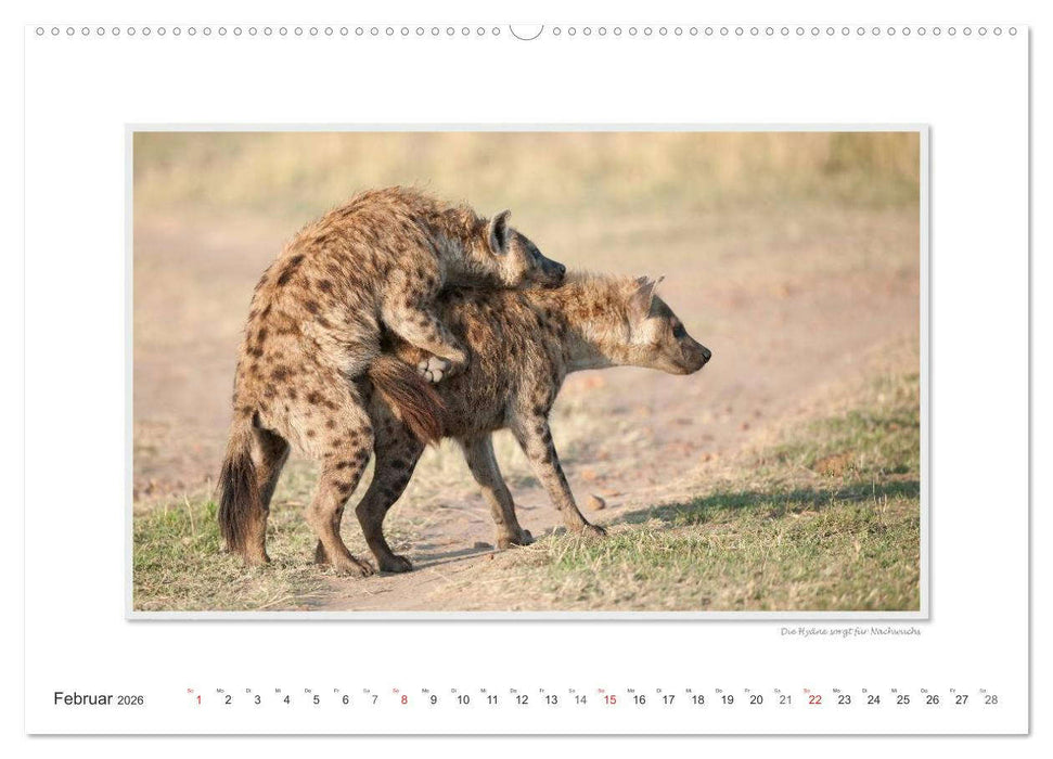 Emotionale Momente: Tierischer Sex. (CALVENDO Premium Wandkalender 2026)