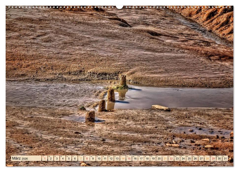 Friesland - Watt und Nordsee (CALVENDO Wandkalender 2026)