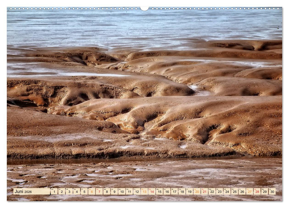 Friesland - Watt und Nordsee (CALVENDO Wandkalender 2026)