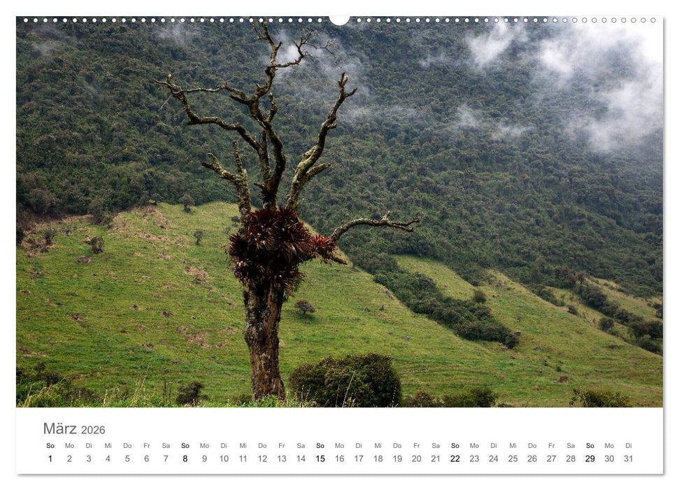 Ecuador - Regenwald und Vulkane (CALVENDO Wandkalender 2026)