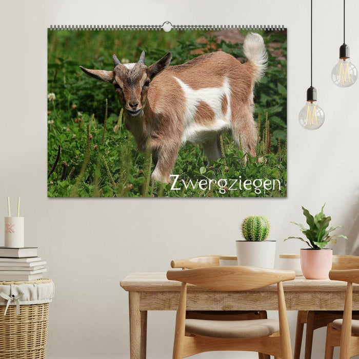 Zwergziegen (CALVENDO Wandkalender 2026)