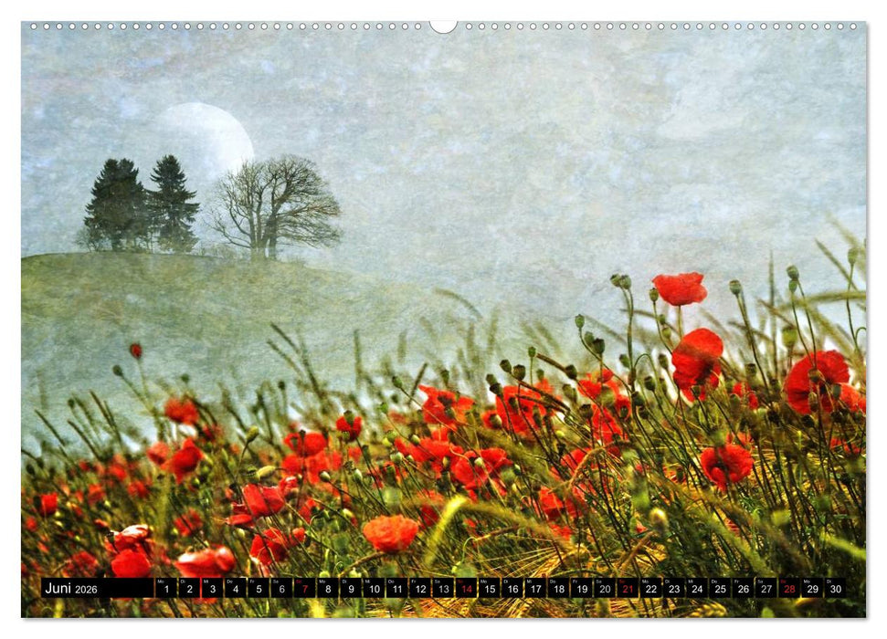 Traumwelten (CALVENDO Premium Wandkalender 2026)