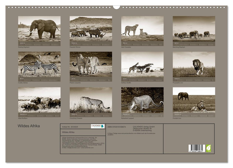 Wildes Afrika (CALVENDO Wandkalender 2026)