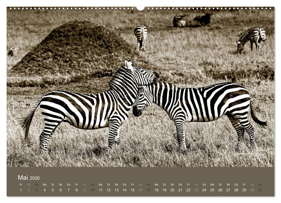 Wildes Afrika (CALVENDO Wandkalender 2026)