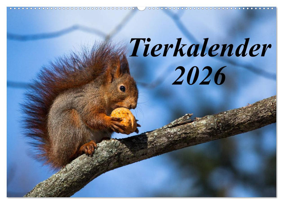 Tierkalender 2026 (CALVENDO Wandkalender 2026)