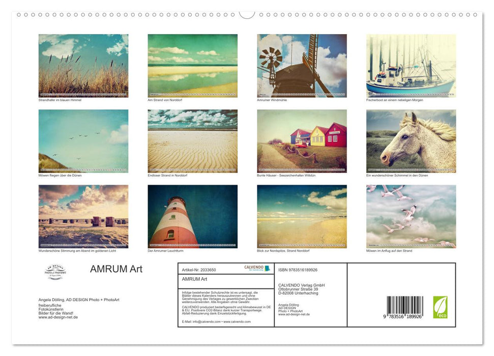 AMRUM Art (CALVENDO Premium Wandkalender 2026)