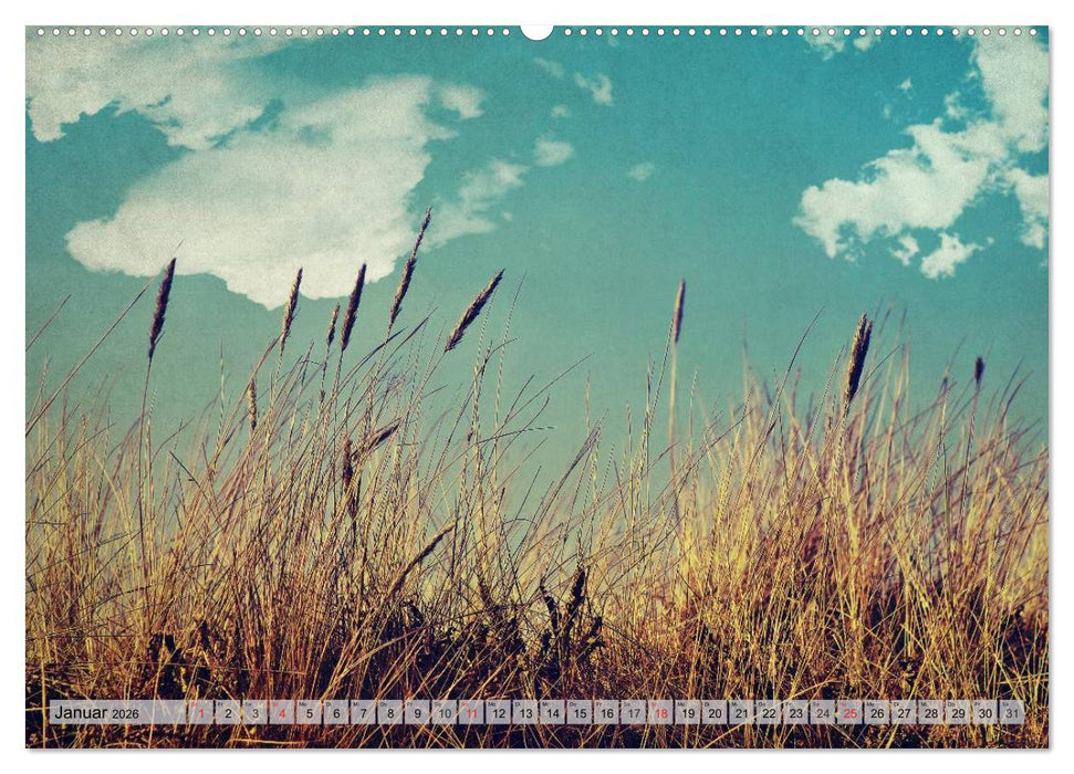 AMRUM Art (CALVENDO Premium Wandkalender 2026)