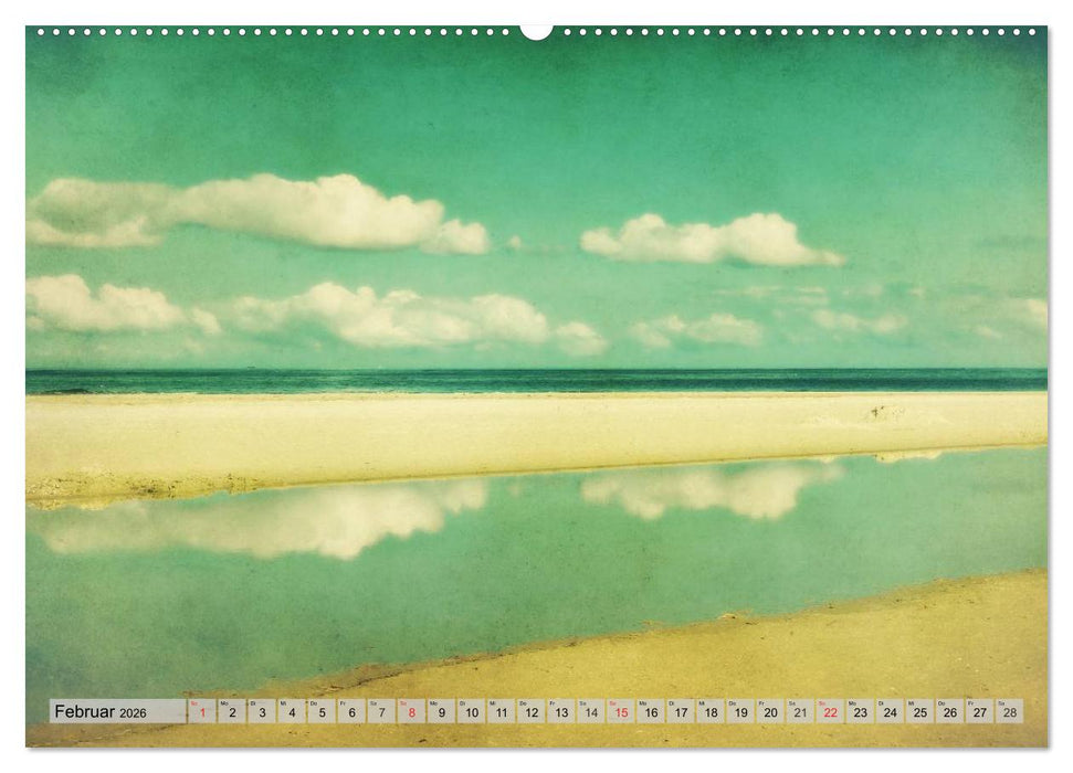 AMRUM Art (CALVENDO Premium Wandkalender 2026)