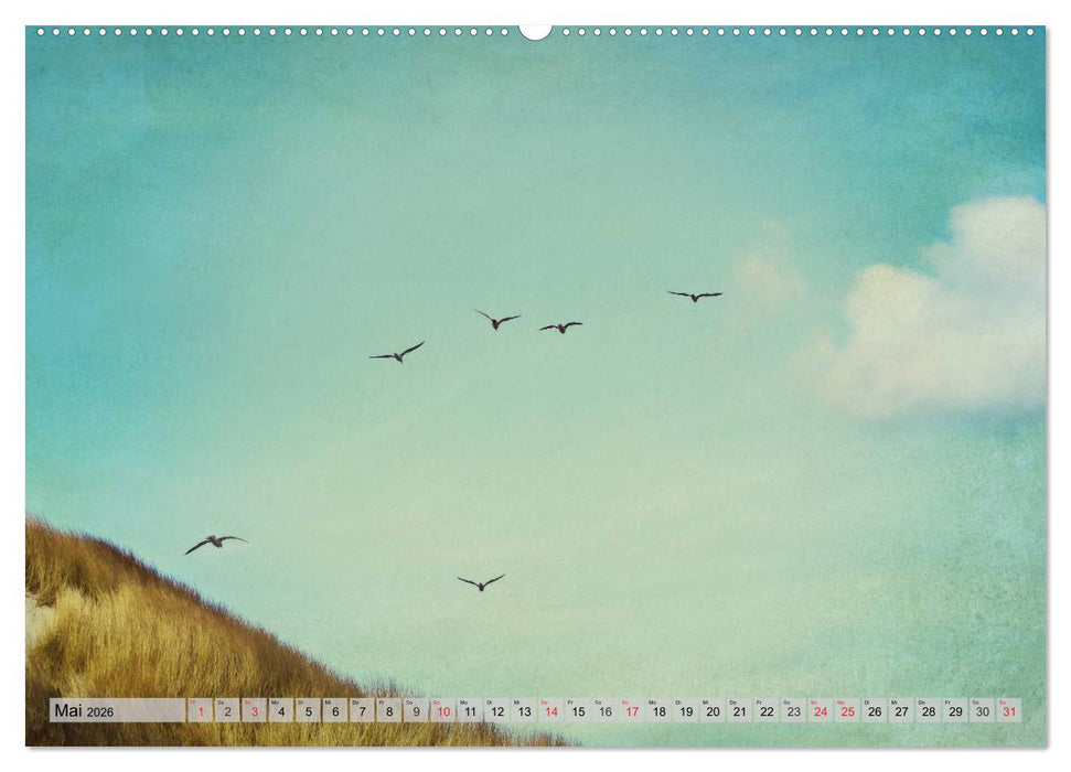 AMRUM Art (CALVENDO Premium Wandkalender 2026)