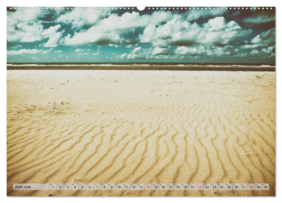 AMRUM Art (CALVENDO Premium Wandkalender 2026)