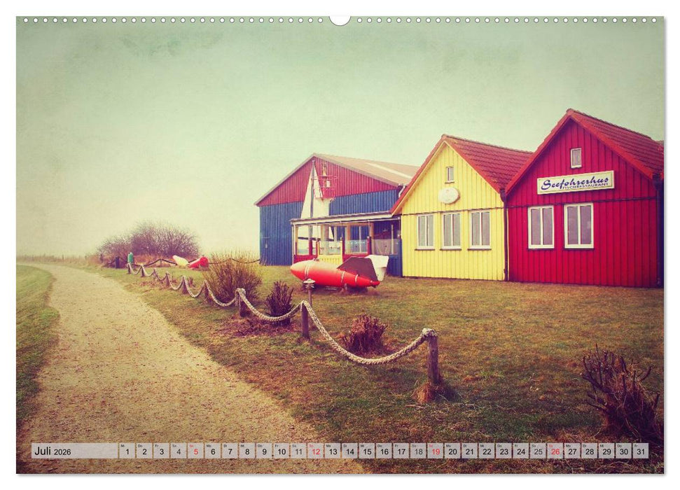 AMRUM Art (CALVENDO Premium Wandkalender 2026)