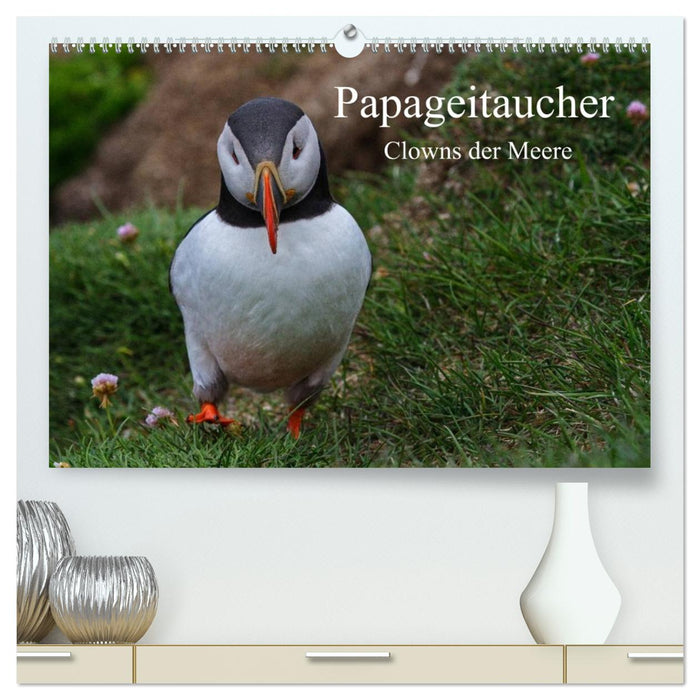 Papageitaucher Clowns der Meere (CALVENDO Premium Wandkalender 2026)