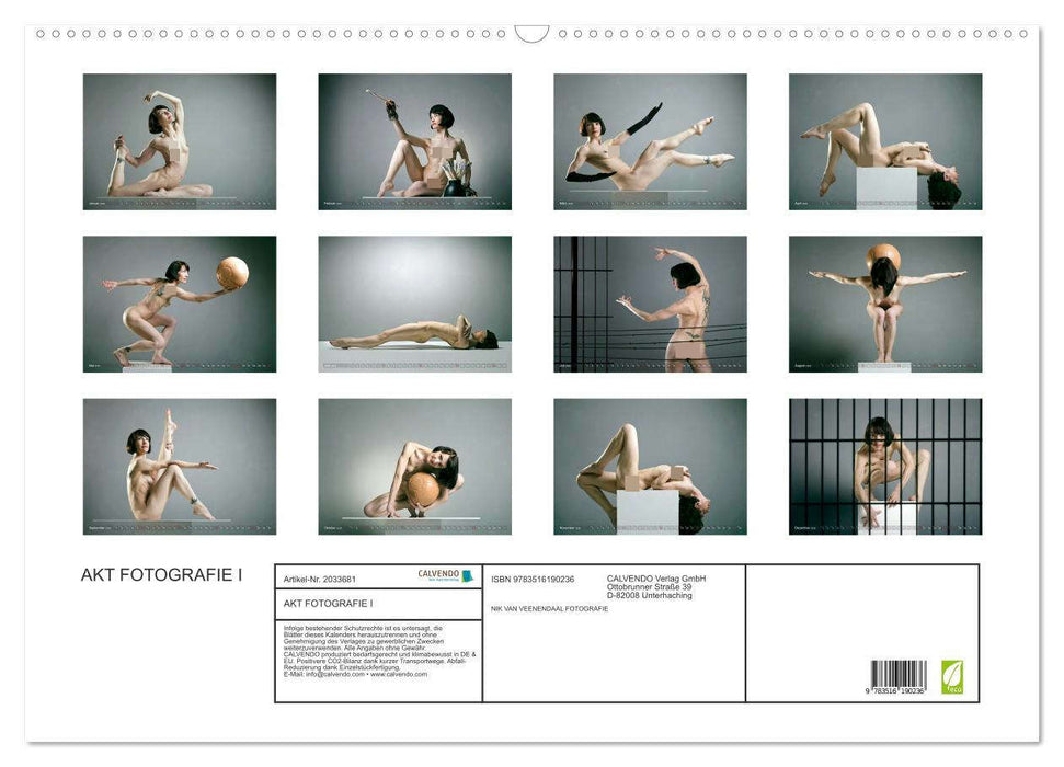 AKT FOTOGRAFIE I (CALVENDO Wandkalender 2026)