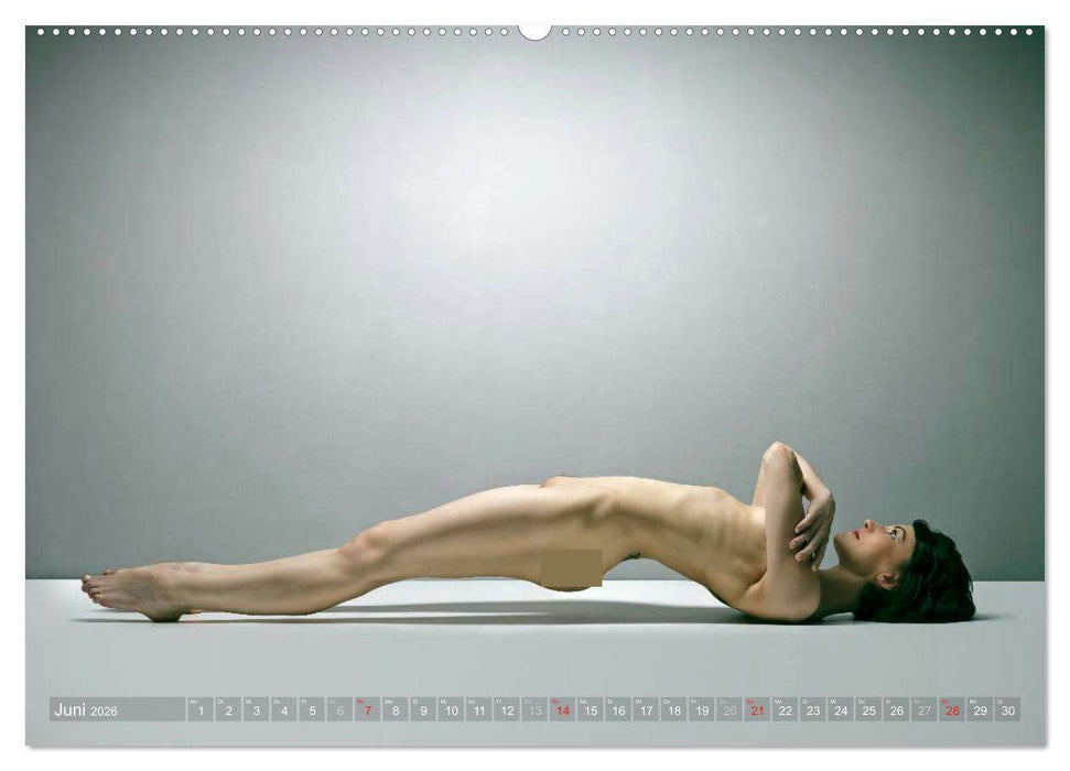 AKT FOTOGRAFIE I (CALVENDO Wandkalender 2026)