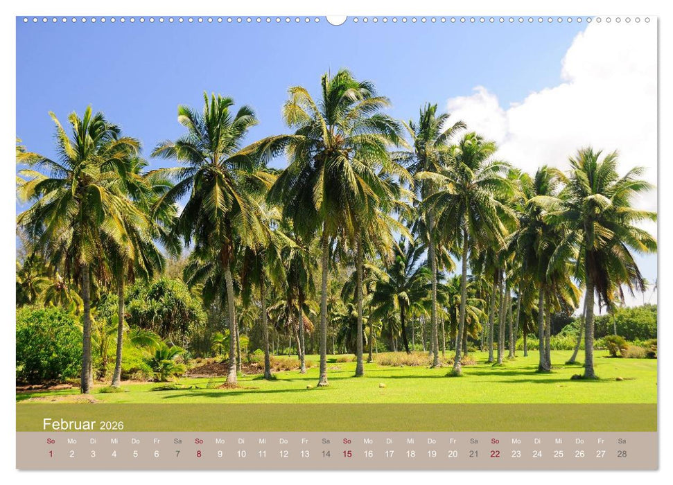 Aloha aus Hawaii (CALVENDO Premium Wandkalender 2026)