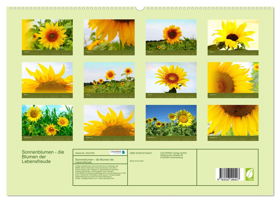 Sonnenblumen - die Blumen der Lebensfreude (CALVENDO Premium Wandkalender 2026)